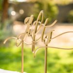 California Wedding Photography|